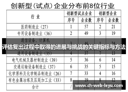 评估复出过程中取得的进展与挑战的关键指标与方法 评估复出过程中取得的进展与挑战的关键指标与方法