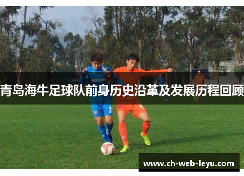 青岛海牛足球队前身历史沿革及发展历程回顾