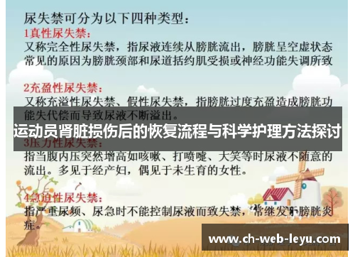 运动员肾脏损伤后的恢复流程与科学护理方法探讨 运动员肾脏损伤后的恢复流程与科学护理方法探讨