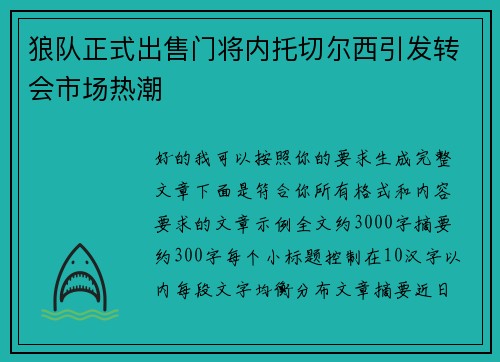 狼队正式出售门将内托切尔西引发转会市场热潮
