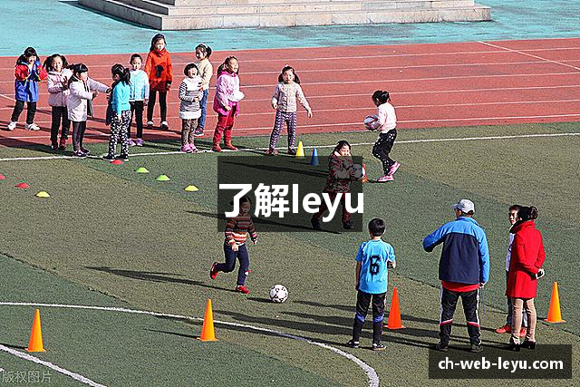 了解leyu
